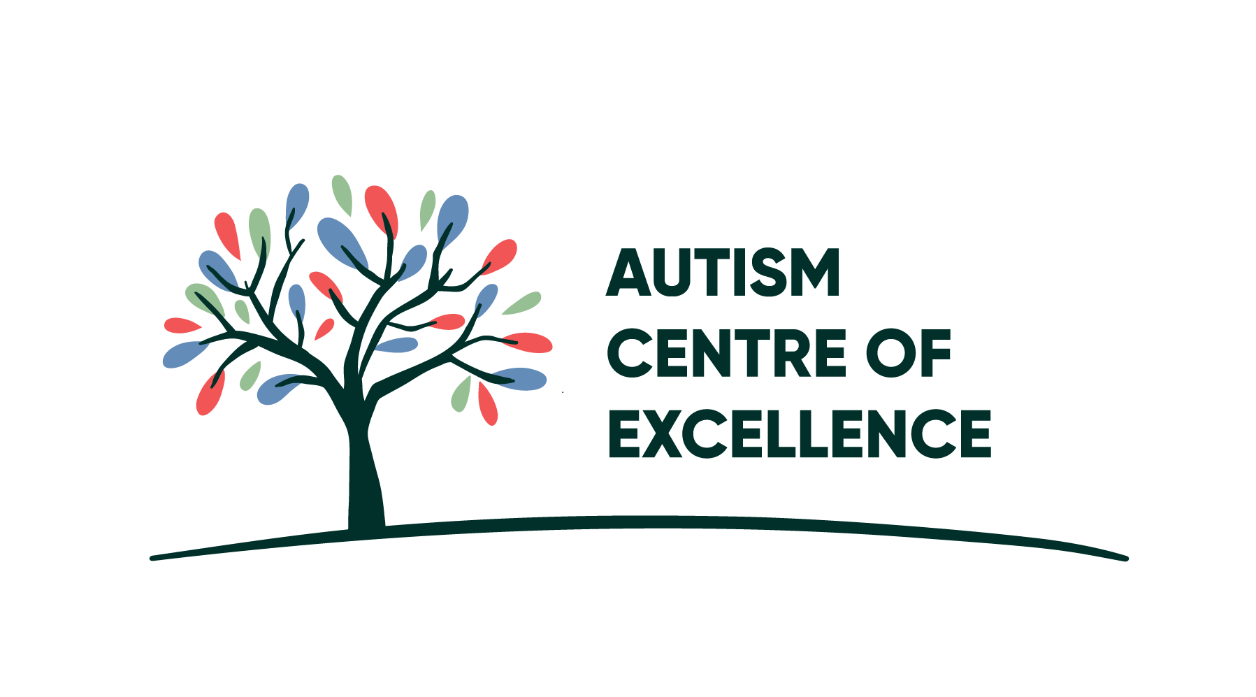 Autism Centre of Excellence